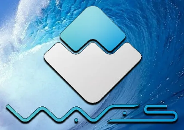 Waves Coin Nedir?