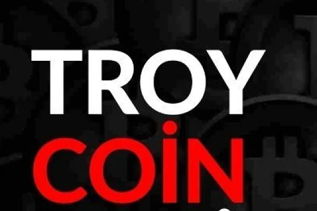 Troy Coin Nedir?