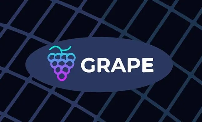 Grape coin nedir?Grape coin ne İşe Yarar?