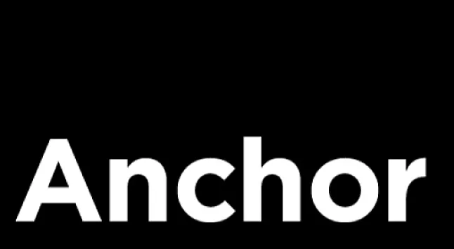 Anchor Kimin ANC Coin bilgi