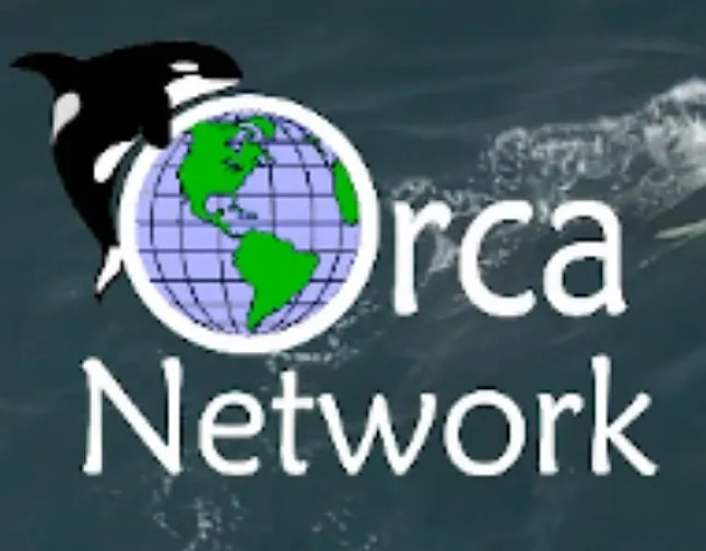 Orca Coin Ne İşe Yarar? Orca Coin Nedir ? Orca Coin Ne İşe Yarar?