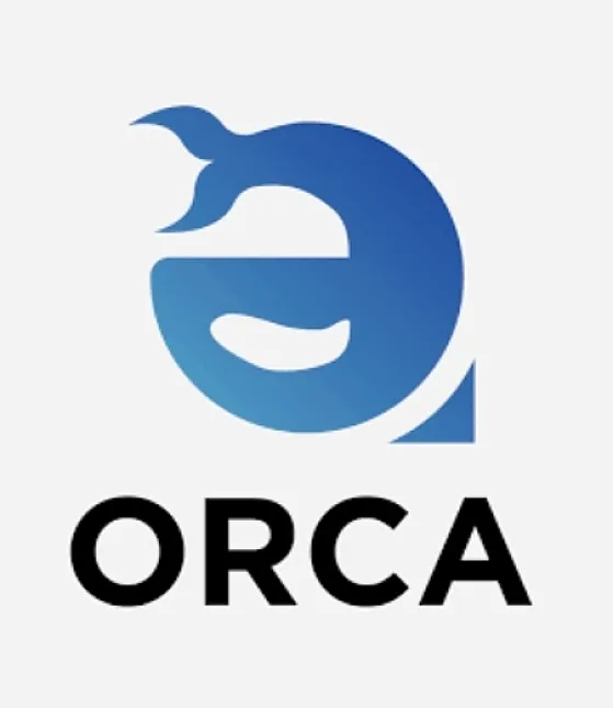 1643913758 Orca Coin Nedir ? Orca Coin Ne İşe Yarar?