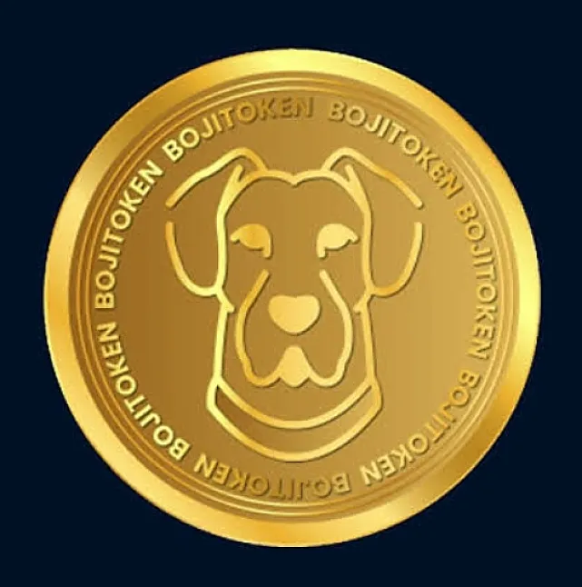 Boji Coin Nedir?