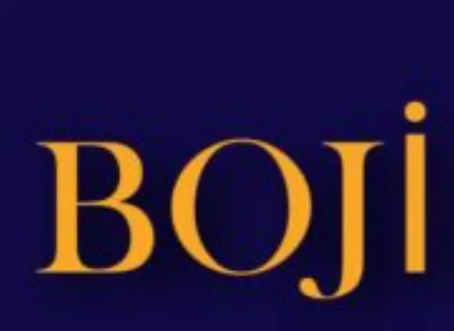 Boji Coin Nedir?