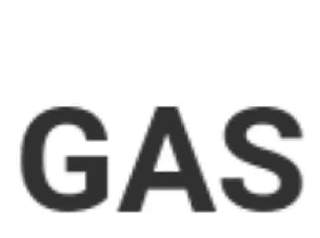 Gaz DAO (GAS) Coin Nedir ? Gasdao (GAS) 