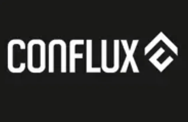 CFX Coin Nedir ? Conflux Coin Ne İşe Yarar?