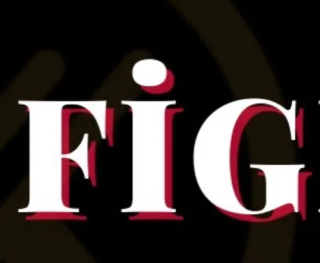 Fig Coin Nedir ?Fig Coin Ne İşe Yarar?