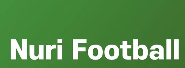 NRFB Coin Ne İşe Yarar? NuriFootBall Coin Nedir ?NRFB Token Ne İşe Yarar?