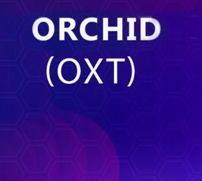 Orchid Coin Nedir? OXT VPN Coin Ne İşe Yarar ?
