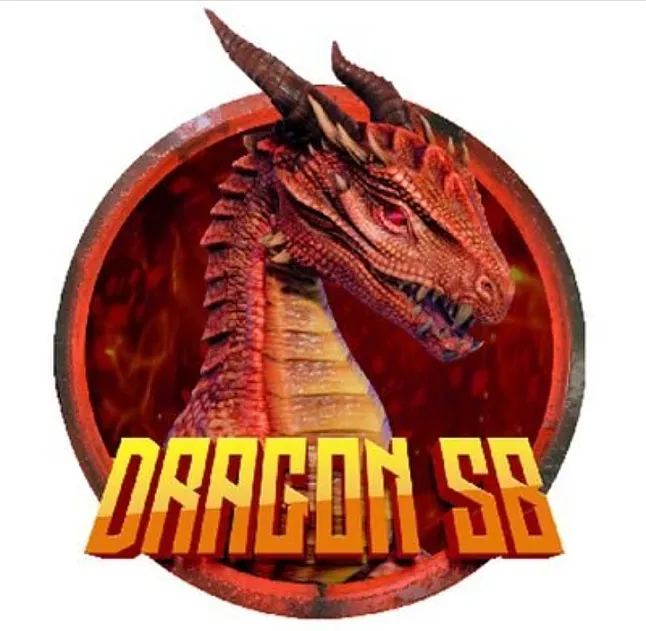 DragonSb Coin Nedir?