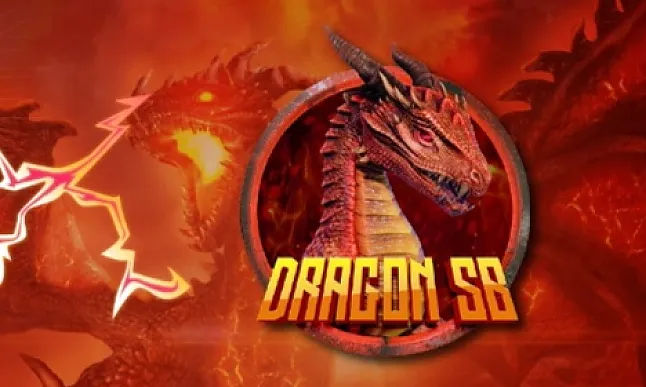 DragonSb Coin Nedir?