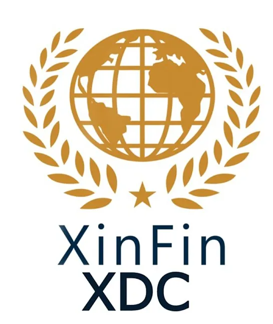 XinFin(XDC) Coin Nedir? XinFin(XDC) Coin Ne İşe Yarar ?