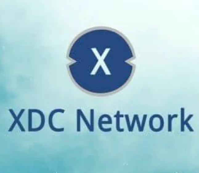 XinFin(XDC) Coin Nedir? XinFin(XDC) Coin Ne İşe Yarar ?