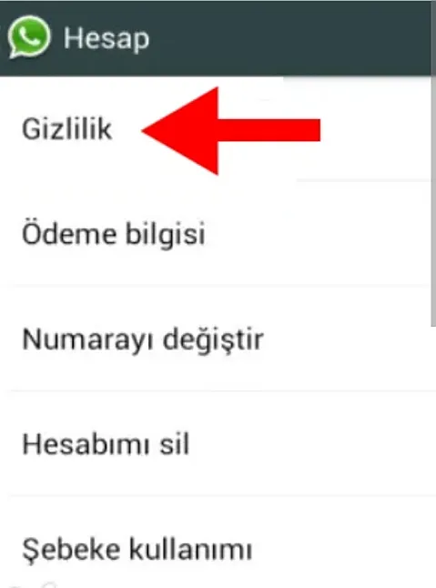 Whatsapp'ta Son Görülme Sabitleme Nasıl Yapılır?