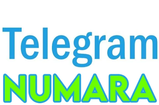 1646775848 Telegram'da Birinin Telefon Numarası Nasıl Bulunur?