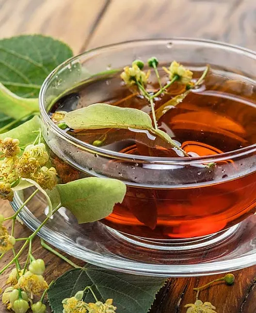Ihlamurun Çayı Faydaları Nelerdir?