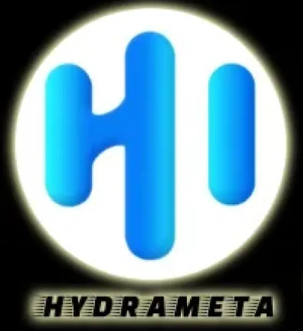 HydraMeta (HDM) Coin Nedir ?HDM Coin Ne İşe Yarar?