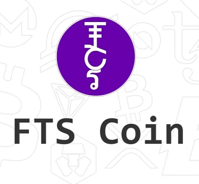 Fantasy Coin (FTS) Nedir?