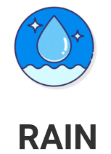 Rain Network Nedir ?