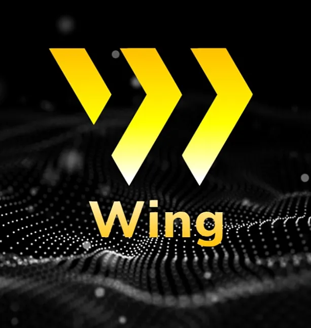 1648234808 Wing Finance Ne İşe Yarar ?
