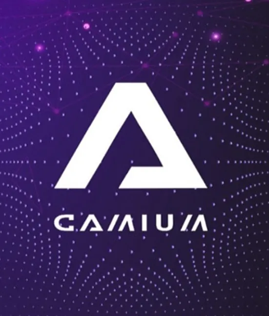 Gamimum Coin Ne İşe Yarar ?