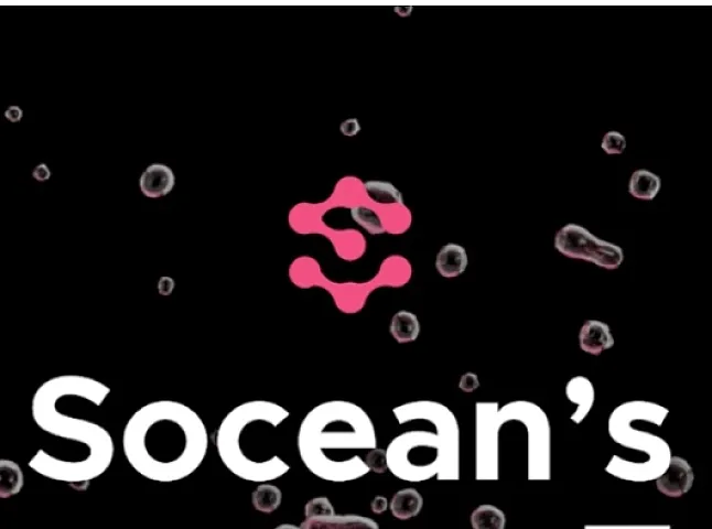 SCNSOL Coin Ne İşe Yarar?