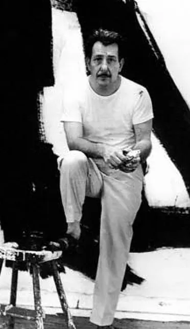 Franz Kline'nin Kariyeri Franz Kline Biyografi