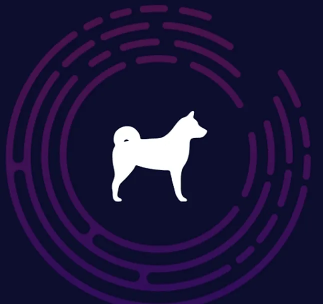 Dogger Coin Nedir ?