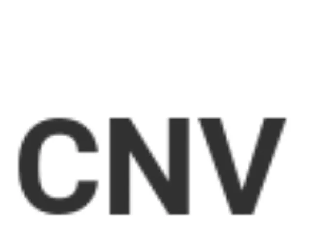 Concave Coin Nedir ?CNV Coin Ne İşe Yarar ?