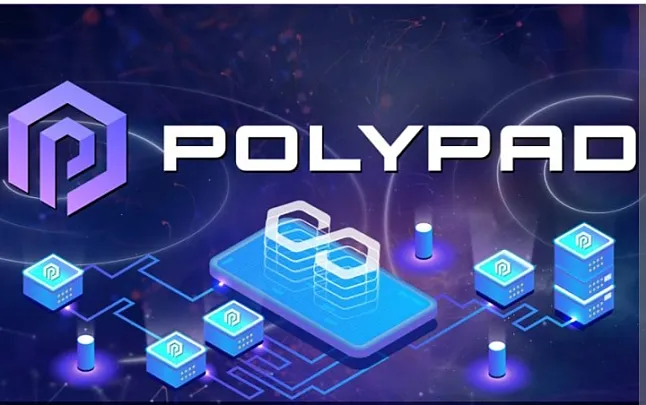 PolyPad Coin Bilgi PolyPad Coin Ne