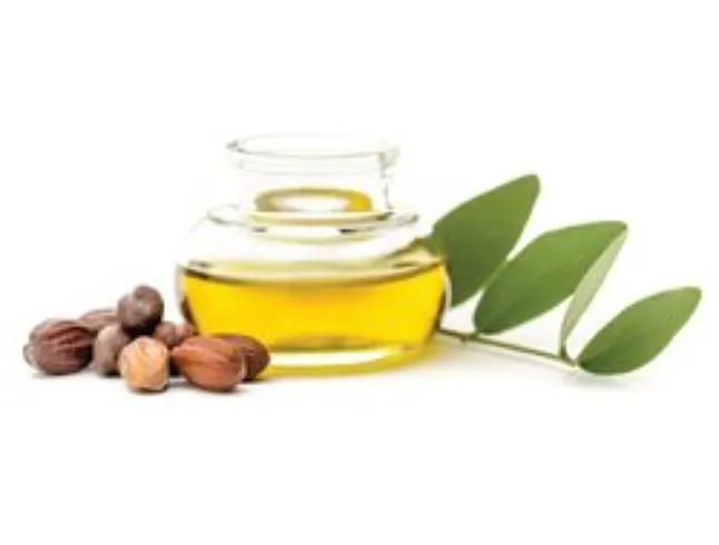 Jojoba Yağının Faydaları Nelerdir? Jojoba Yağı Ne İşe Yarar? 