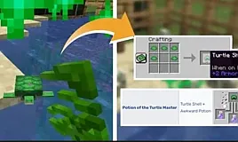 Minecraft: Kaplumbağa Yumurtaları Nasıl Elde Edilir ? 