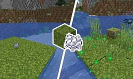 Minecraft: Yosun Bloğu Nasıl Bulunur ?