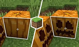 Minecraft Balkabağı Nasıl Oyulur?