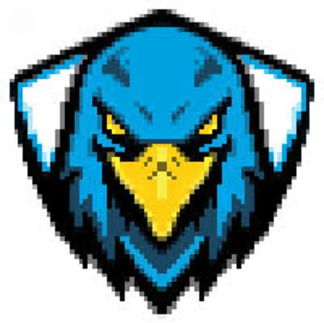 Hawk Coin Bilgisi Hawk Coin değerlendirmesi
