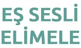 Sesteş kelimeler nedir?Örnekler ile sesteş kelimeler