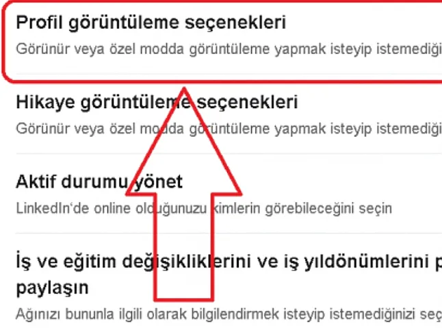 Birinin Linkedin Profiline Giriş Yapmadan Nasıl Görüntülenir ?