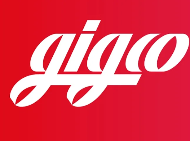 Gigco (GIG) Coin Nedir ?GIG Coin Ne İşe Yarar ?