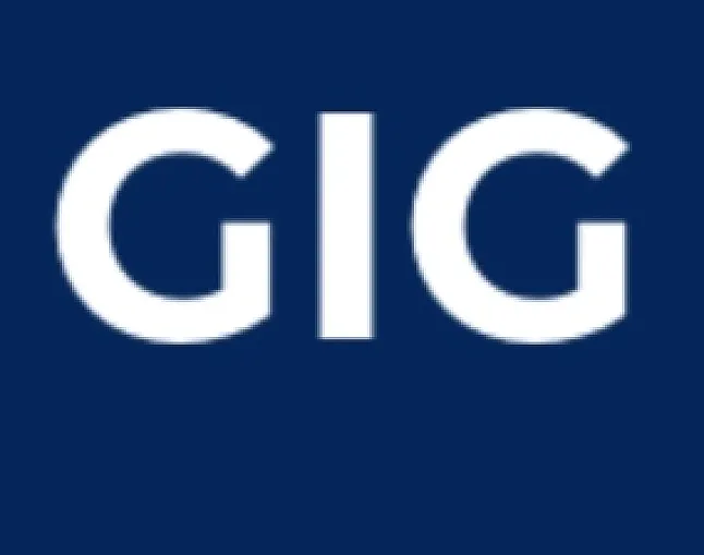 1651846928 Gigco (GIG) Coin Nedir ?GIG Coin Ne İşe Yarar ?