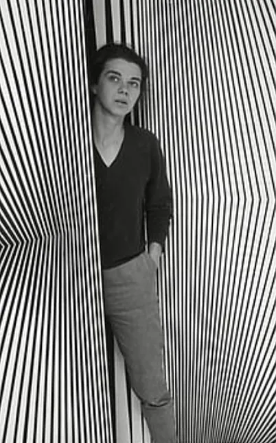 Bridget Riley sanatı ve çalışmaları hakkında bilgiler Bridget Riley Biyografi Hakkında Bilgiler Çalışmaları hakkında bilgiler