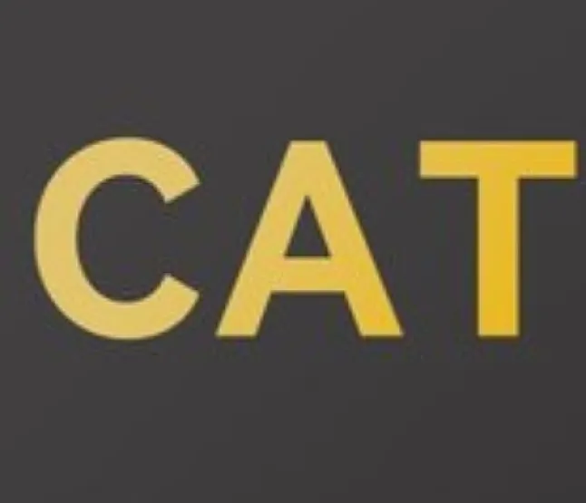 CatCoin Nedir?CATCOIN Ne İşe Yarar ?