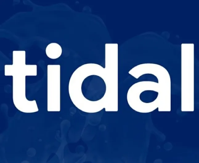 TIDAL Coin Nedir?TIDAL Protokolü Ne İşe Yarar ?