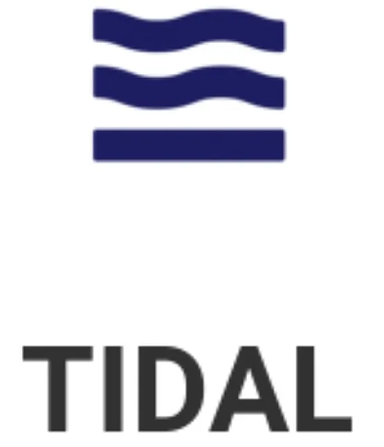 TIDAL Coin Nedir?TIDAL Protokolü Ne İşe Yarar ?