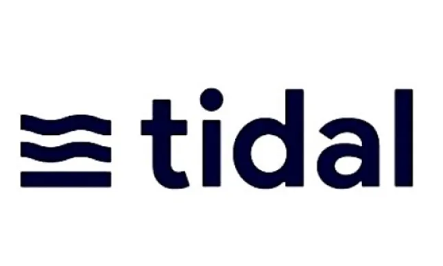 TIDAL Coin Nedir?TIDAL Protokolü Ne İşe Yarar ?