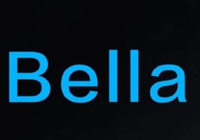 Bella Coin Nedir ?BEL Coin Ne İşe Yarar ?