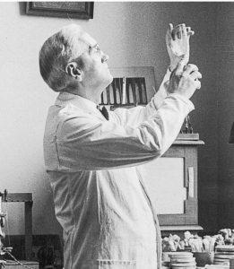 Alexander Fleming Kariyeri Alexander Fleming Geçmişi
