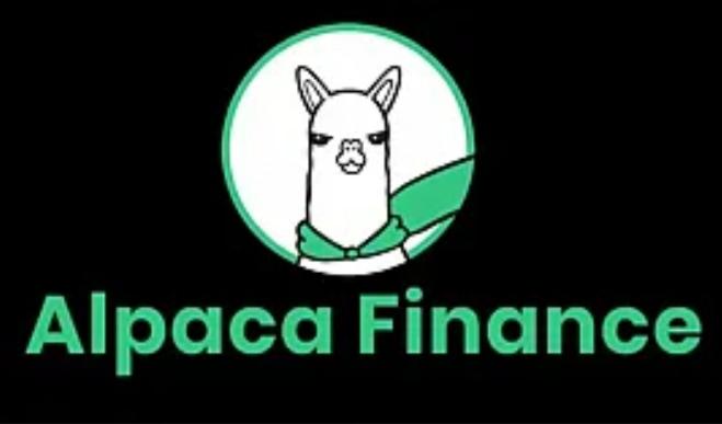 Alpaca Coin Nedir?Alpaca Coin Ne İşe Yarar?