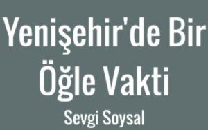 Yenişehir'de Bir Öğle Vakti Kitap Özeti / Sevgi Soysal