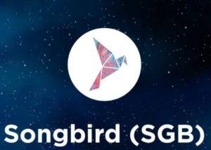 Songbird Token Songbird hangi borsalarda var?