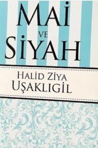 Mai ve Siyah Kitap Özeti